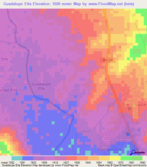 Guadalupe Etla,Mexico Elevation Map