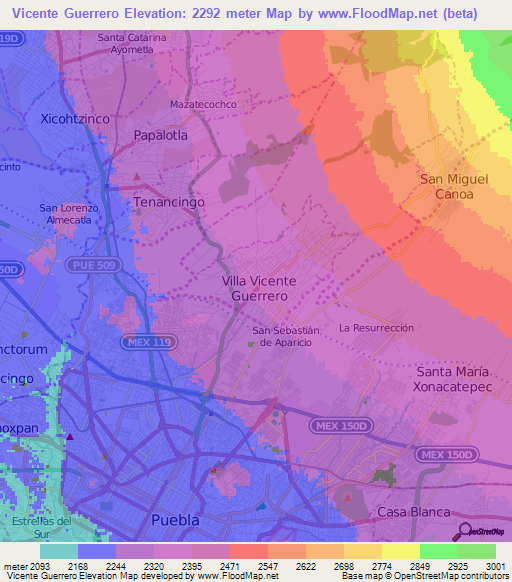 Vicente Guerrero,Mexico Elevation Map