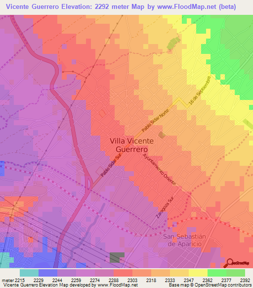 Vicente Guerrero,Mexico Elevation Map