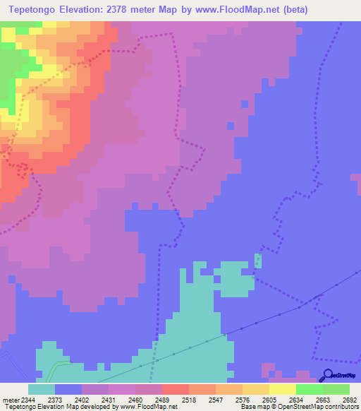 Tepetongo,Mexico Elevation Map