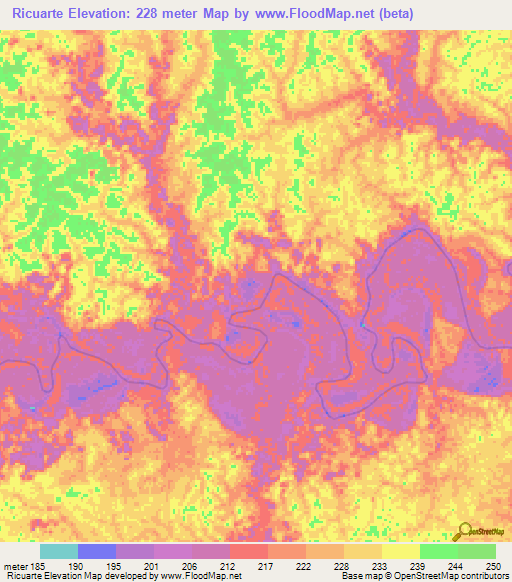 Ricuarte,Colombia Elevation Map