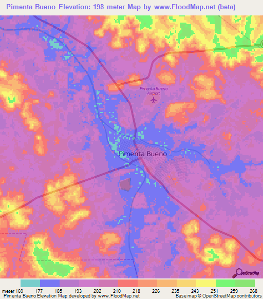 Pimenta Bueno,Brazil Elevation Map