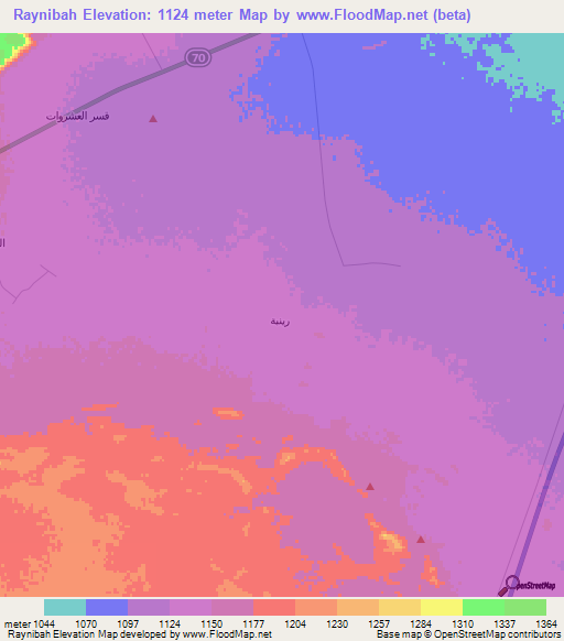 Raynibah,Saudi Arabia Elevation Map