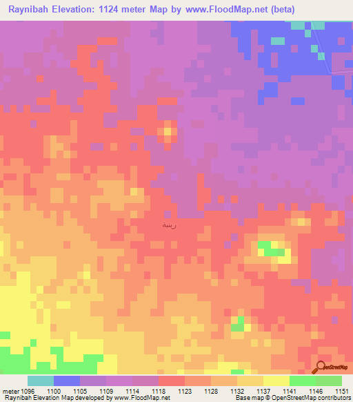 Raynibah,Saudi Arabia Elevation Map