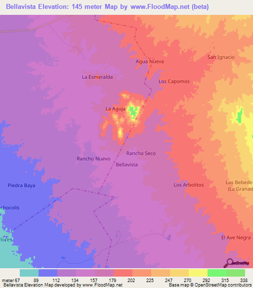 Bellavista,Mexico Elevation Map