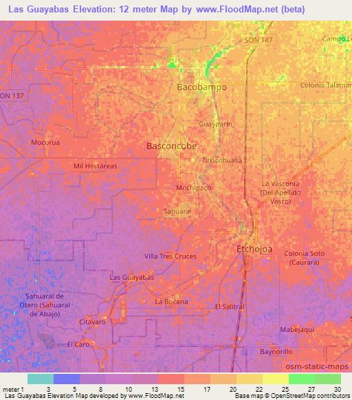 Las Guayabas,Mexico Elevation Map