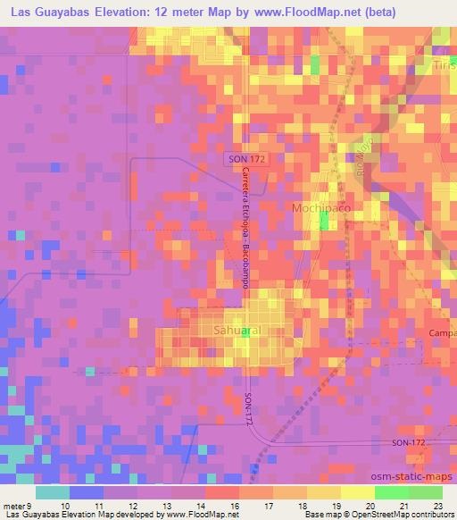 Las Guayabas,Mexico Elevation Map