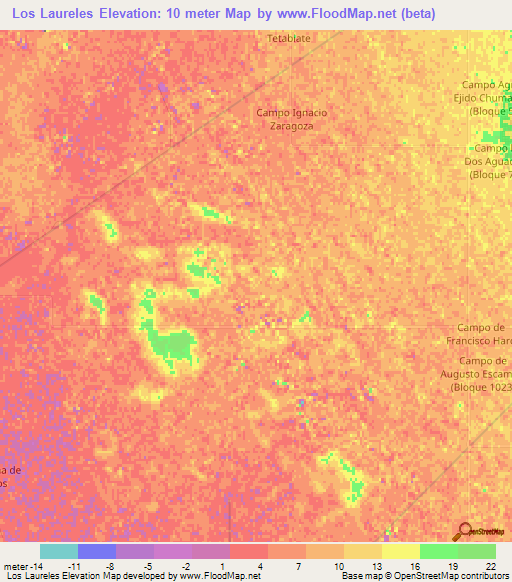 Los Laureles,Mexico Elevation Map