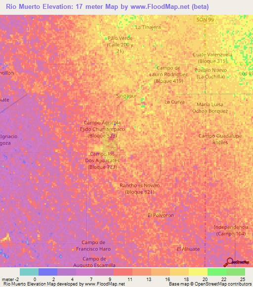 Rio Muerto,Mexico Elevation Map