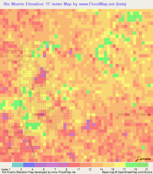 Rio Muerto,Mexico Elevation Map