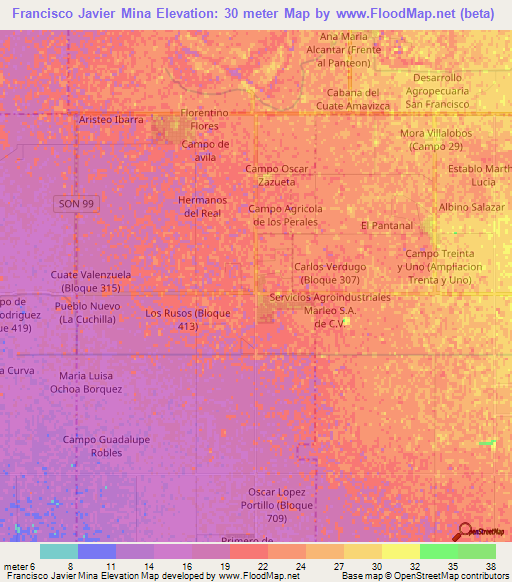 Francisco Javier Mina,Mexico Elevation Map