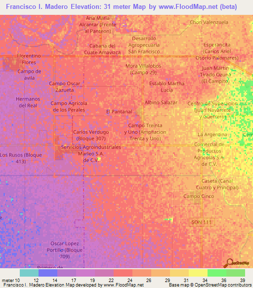Francisco I. Madero,Mexico Elevation Map