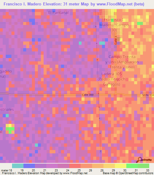 Francisco I. Madero,Mexico Elevation Map