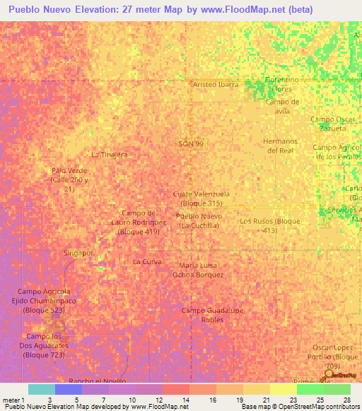 Pueblo Nuevo,Mexico Elevation Map