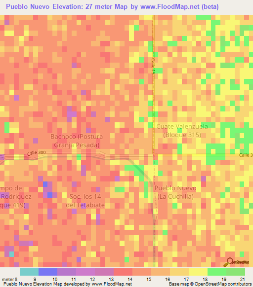 Pueblo Nuevo,Mexico Elevation Map