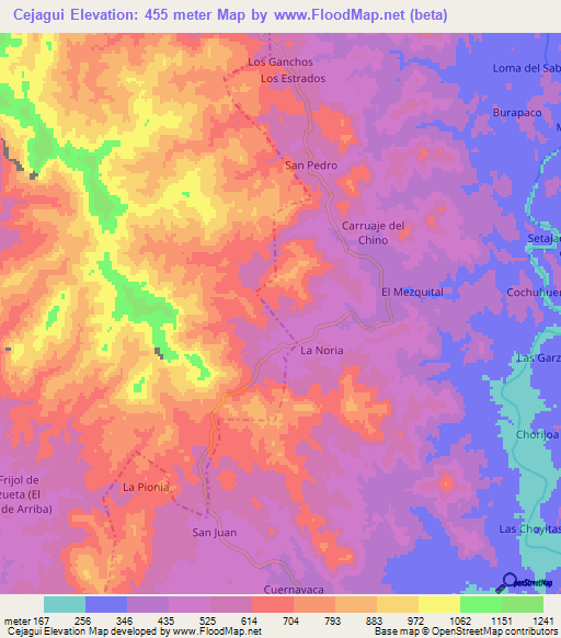 Cejagui,Mexico Elevation Map