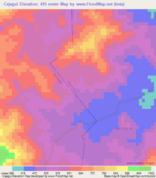 Cejagui,Mexico Elevation Map