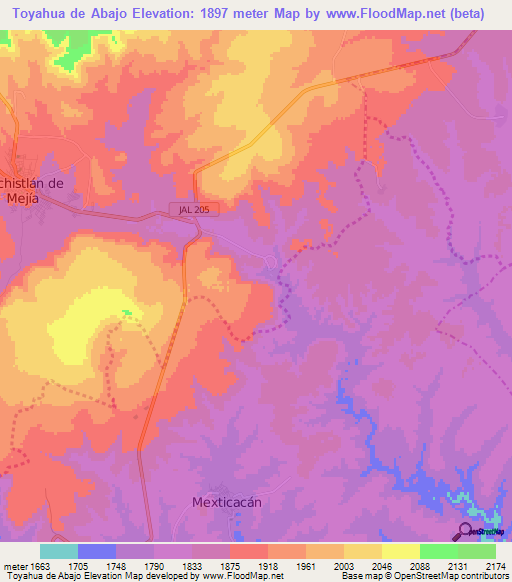 Toyahua de Abajo,Mexico Elevation Map