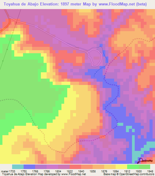 Toyahua de Abajo,Mexico Elevation Map