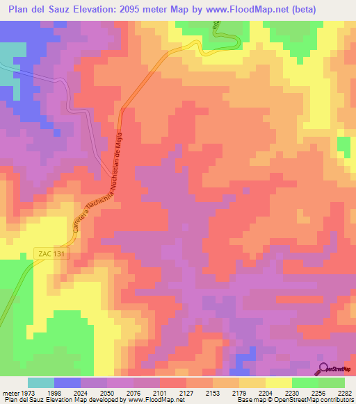 Plan del Sauz,Mexico Elevation Map