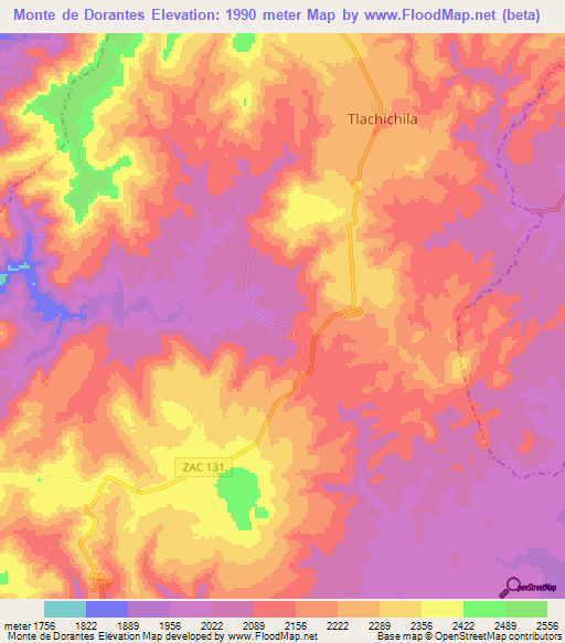 Monte de Dorantes,Mexico Elevation Map