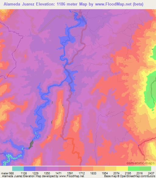 Alameda Juarez,Mexico Elevation Map