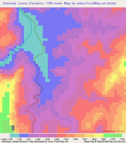 Alameda Juarez,Mexico Elevation Map