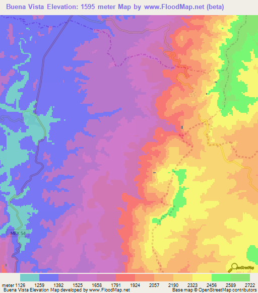 Buena Vista,Mexico Elevation Map