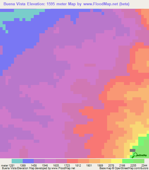 Buena Vista,Mexico Elevation Map