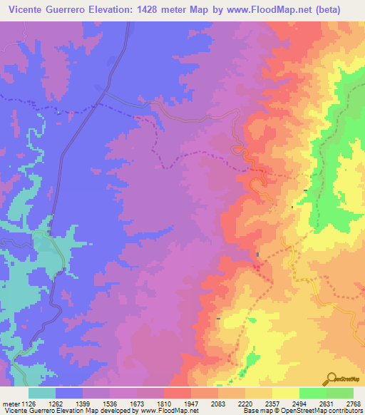 Vicente Guerrero,Mexico Elevation Map