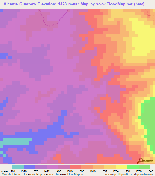 Vicente Guerrero,Mexico Elevation Map