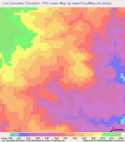 Los Gonzalez,Mexico Elevation Map