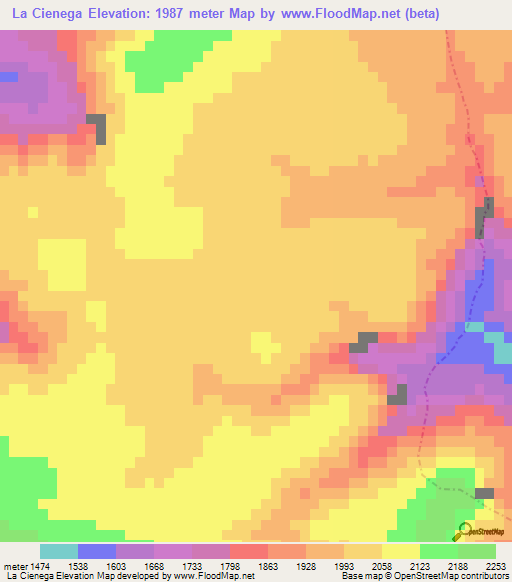 La Cienega,Mexico Elevation Map