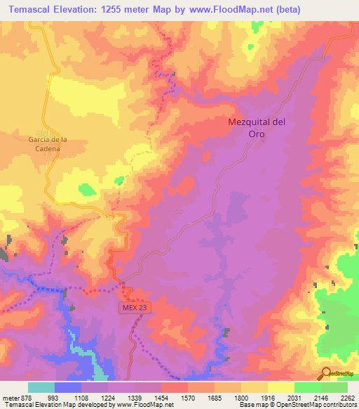 Temascal,Mexico Elevation Map