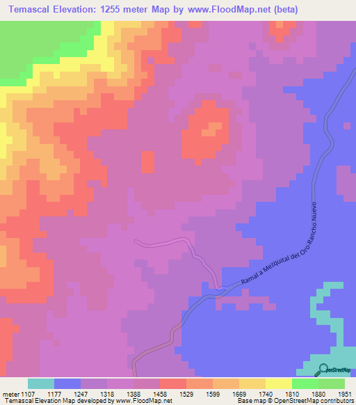 Temascal,Mexico Elevation Map