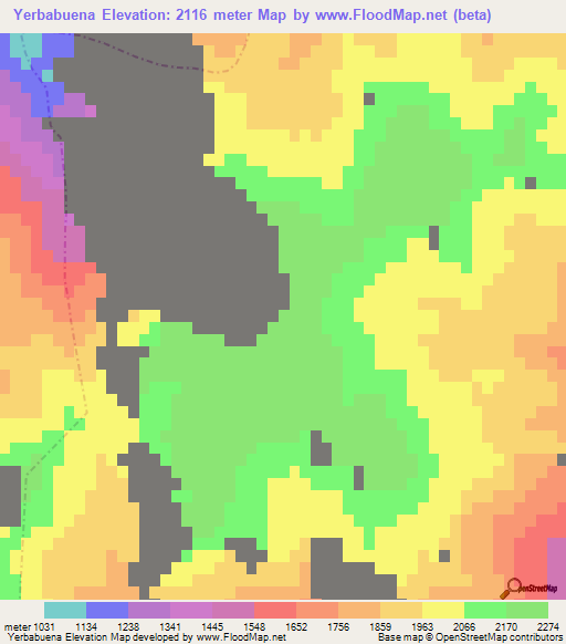 Yerbabuena,Mexico Elevation Map