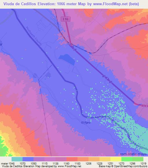 Viuda de Cedillos,Mexico Elevation Map