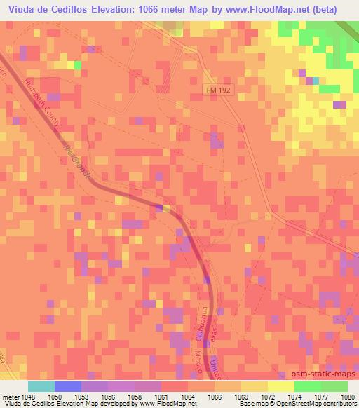 Viuda de Cedillos,Mexico Elevation Map