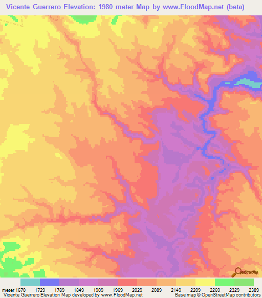 Vicente Guerrero,Mexico Elevation Map