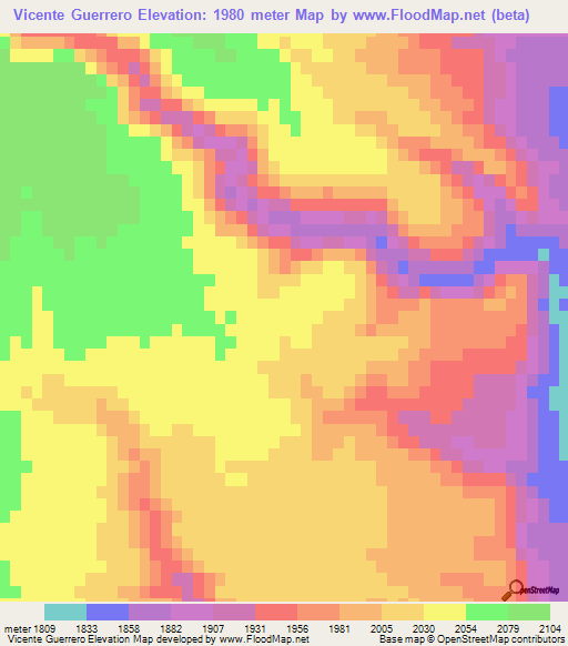 Vicente Guerrero,Mexico Elevation Map