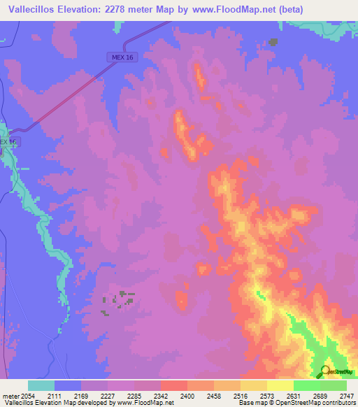 Vallecillos,Mexico Elevation Map