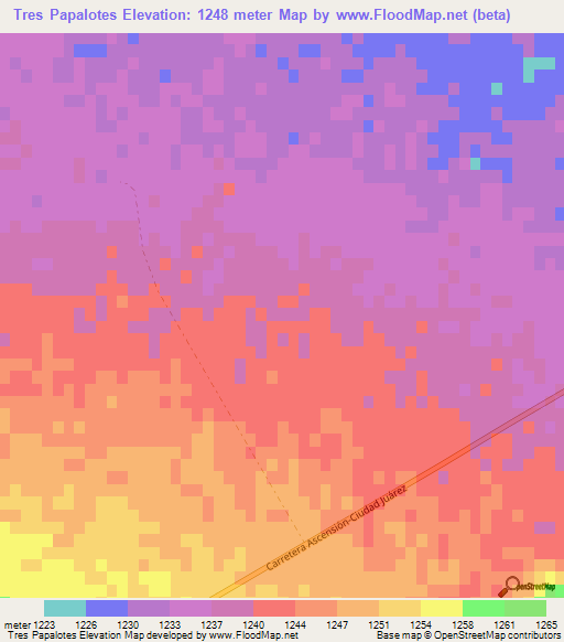 Tres Papalotes,Mexico Elevation Map