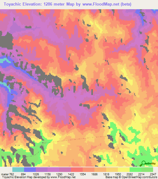 Toyachic,Mexico Elevation Map