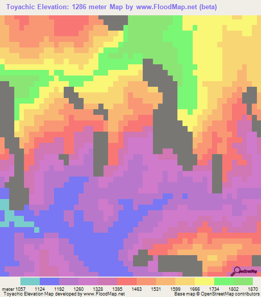 Toyachic,Mexico Elevation Map