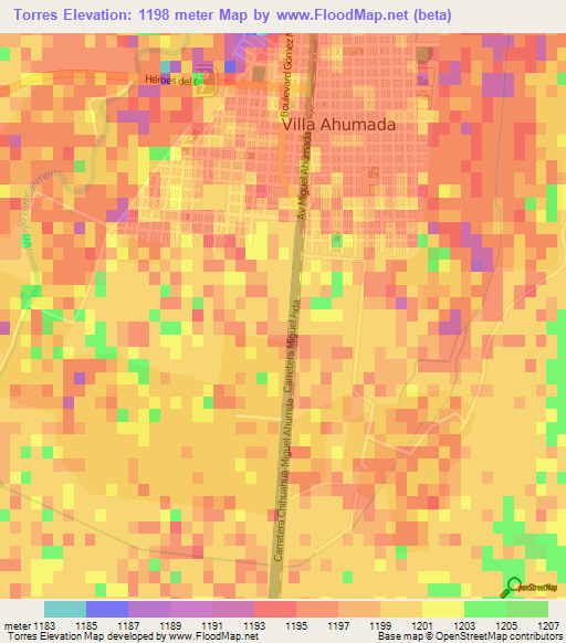 Torres,Mexico Elevation Map