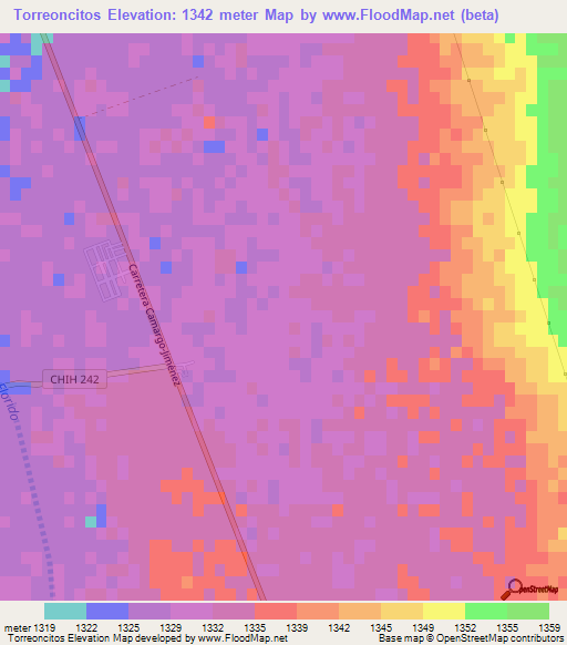 Torreoncitos,Mexico Elevation Map