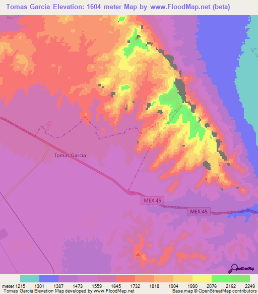 Tomas Garcia,Mexico Elevation Map