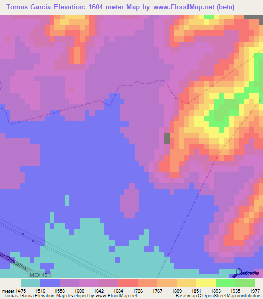 Tomas Garcia,Mexico Elevation Map