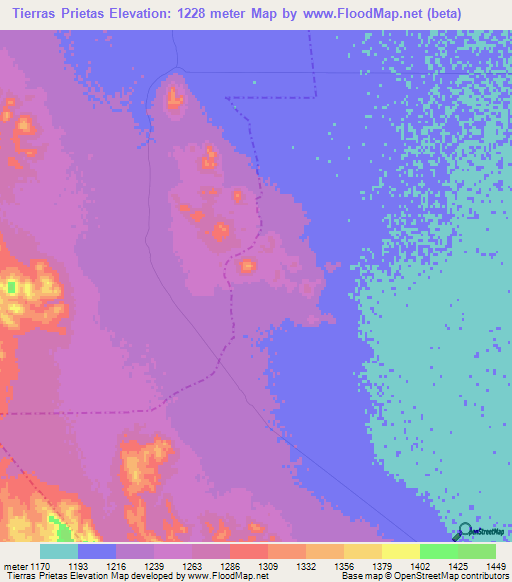 Tierras Prietas,Mexico Elevation Map