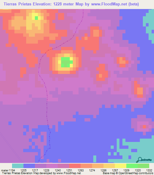 Tierras Prietas,Mexico Elevation Map